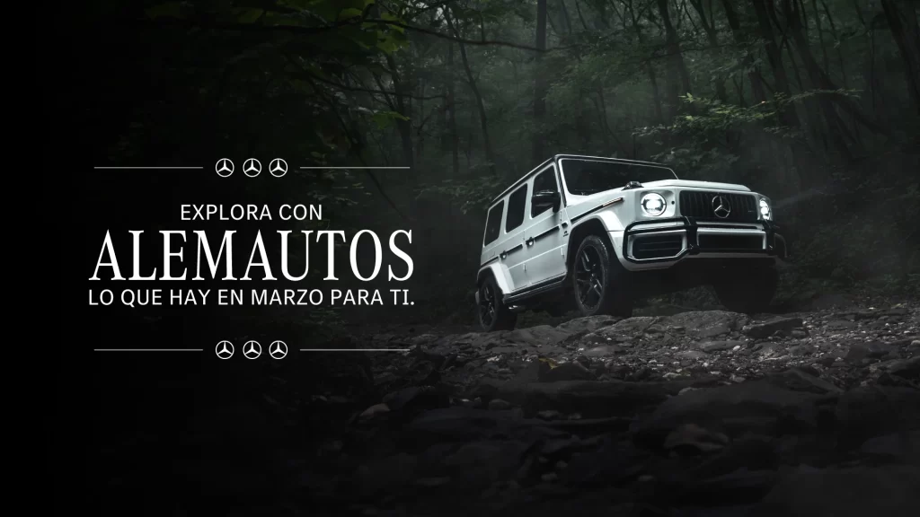 Descubre las novedades que tenemos en marzo con nuestros vehículos