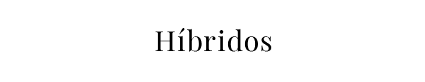 Híbridos